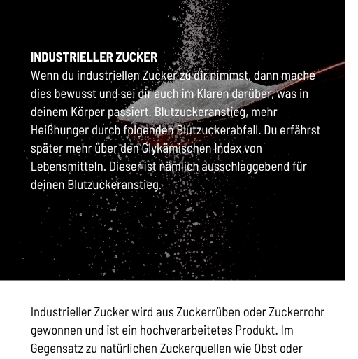 E-book Basics zur Ernährung und mentaler Fitness